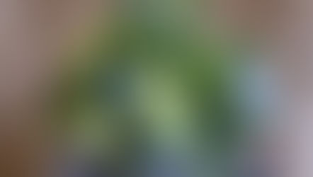 趣味で楽しむフラワーレッスン、アーティフィシャル上級コースを受講なさいました、ともこさんの「バラの花束」をご紹介いたします。