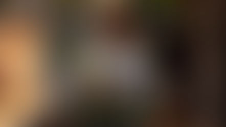 NFDフラワーデザイナー3級資格検定コース、試験テーマ「並行ー装飾的」ゆきさんの作品(2回目レッスン)