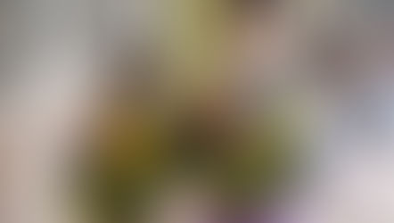 MASASKOフラワーデザイン、キッズフラワーレッスンに参加なさった、きさらちゃん、ひなみちゃんの作品をご紹介いたします。