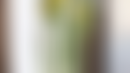 NFD資格検定2級レッスン「並行ー植生的」「モダン−装飾的花束」