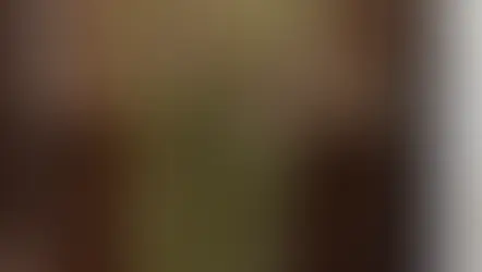 NFD資格検定2級レッスン「並行ー植生的」「構造的（テクスチュア）」