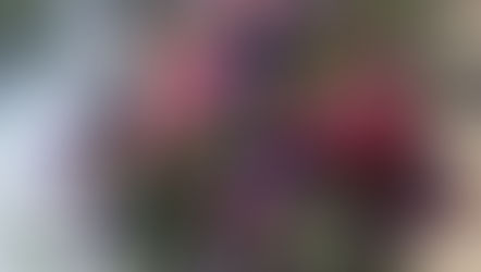 N FD資格検定1級テーマ「ほぐれた装飾的花束」「流れるようなブーケ」