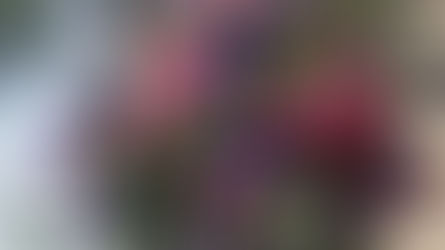 N FＤ資格検定1級テーマ「ほぐれた装飾的花束」「流れるようなブーケ」