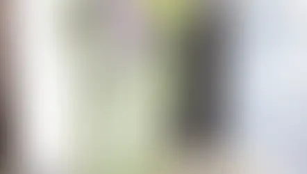 NFDフラワーデザイナー資格検定2級、試験出題テーマ「並行植生的」「モダン装飾的花束」「非対称形のブーケ」