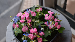 NFDフラワーデザイナー3級資格検定コース、試験テーマ「共同形態」ゆきさんの作品