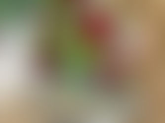 趣味で楽しむフラワーレッスン「ドームアレンジ」