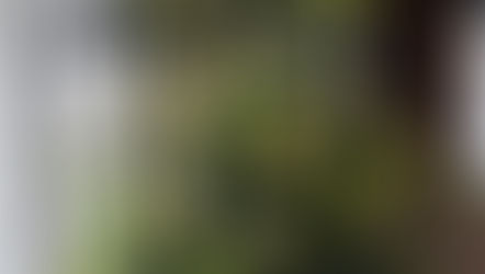 NFDフラワーデザイナー3級資格検定コース、試験テーマ「トライアンギュラ」ゆきさんの作品