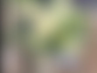 アーティフィシャルフラワー上級コース「トルコ桔梗のアレンジ」