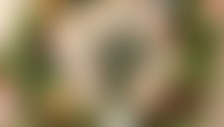 クリスマスの1dayレッスン