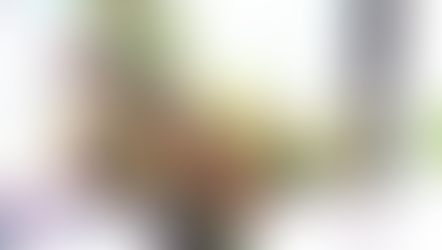 NFD講師研究科コース「クレセントアレンジ」