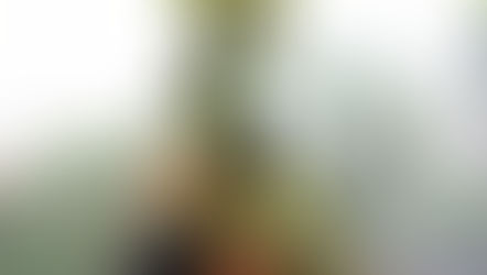 NFDフラワーデザイナー講師研究科コース、作品テーマ「ブリディシュトラディショナル」さとこさんの作品