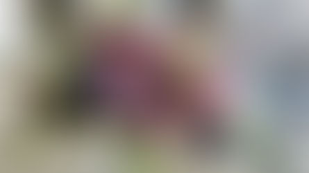 NFD講師研究科コース「枠組みの花束」