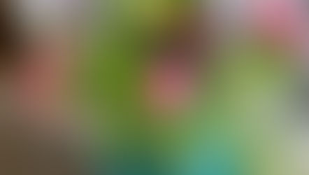 NFD講師研究科コース「ほぐれた花束」