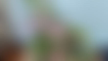 NFD講師研究科コースでご自宅レッスン「クレセント・アレンジ」をお持ち帰りされた花材で制作なさいました、みゆきさんの作品をご紹介いたします。