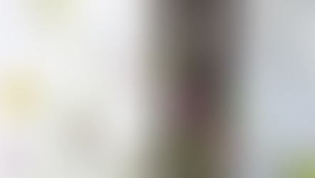 NFD資格検定2級レッスン「交差」「モダンー装飾的花束」