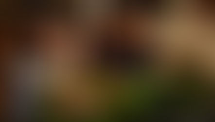 地域密着のボランティア活躍で「キッズフラワーレッスン」今回はXmasアレンジを受講されました。参加者のきさらちゃんとひなみちゃんお母様も参加され楽しいレッスンになりました。