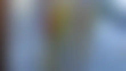 NFD資格検定2級集中レッスン「並行−植生的」「交差」「非対称形のブーケ」