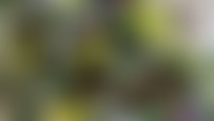 NFD講師研究科コース「木枠の花束」