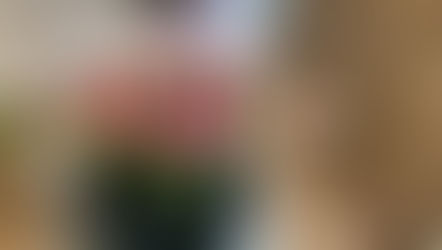 国家資格である「フラワー装飾技能検定」1級試験テーマの3作品を受講なさいました、めいさんの作品をご紹介いたします。