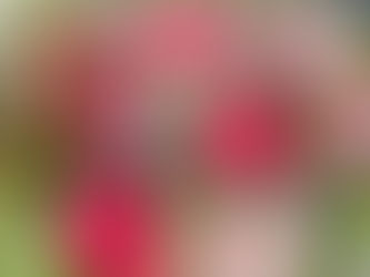 フラワー装飾2級検定「花束Ａ」「アレンジ，トライアンギュラー」