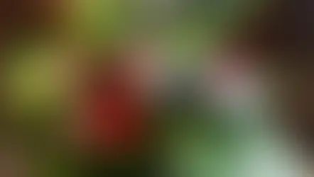 趣味で楽しむフラワーレッスンキッズコース「バスケットアレンジ」