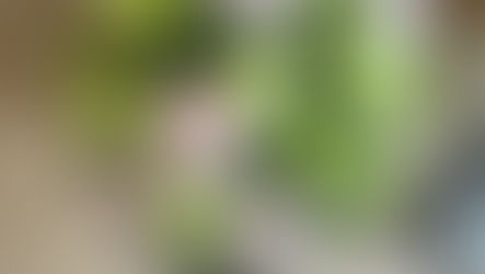 フラワー装飾技能検定3級レッスン「バスケットアレンジ」