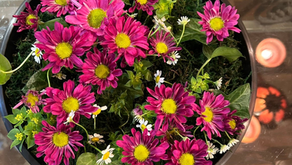 NFD資格検定3級レッスン「共同形態」