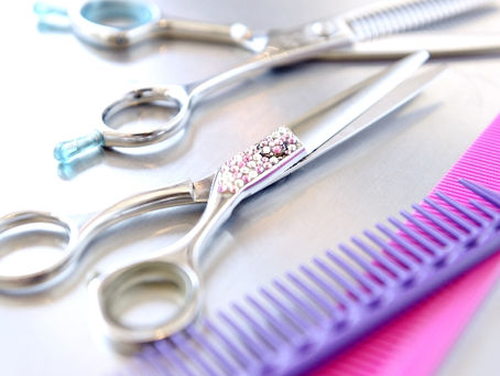 面貸しいたします。