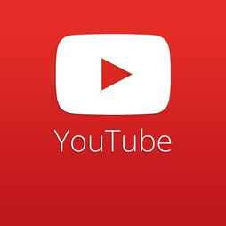 5 Reason You Should Be Active In Youtube For Your Business
