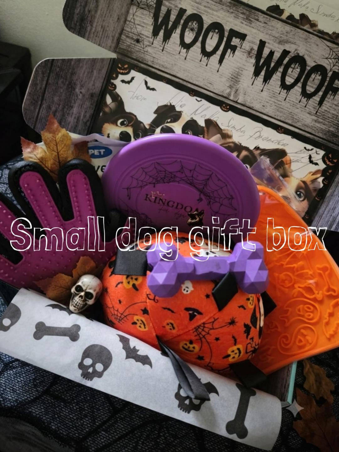Halloween Small Dog Gift Box