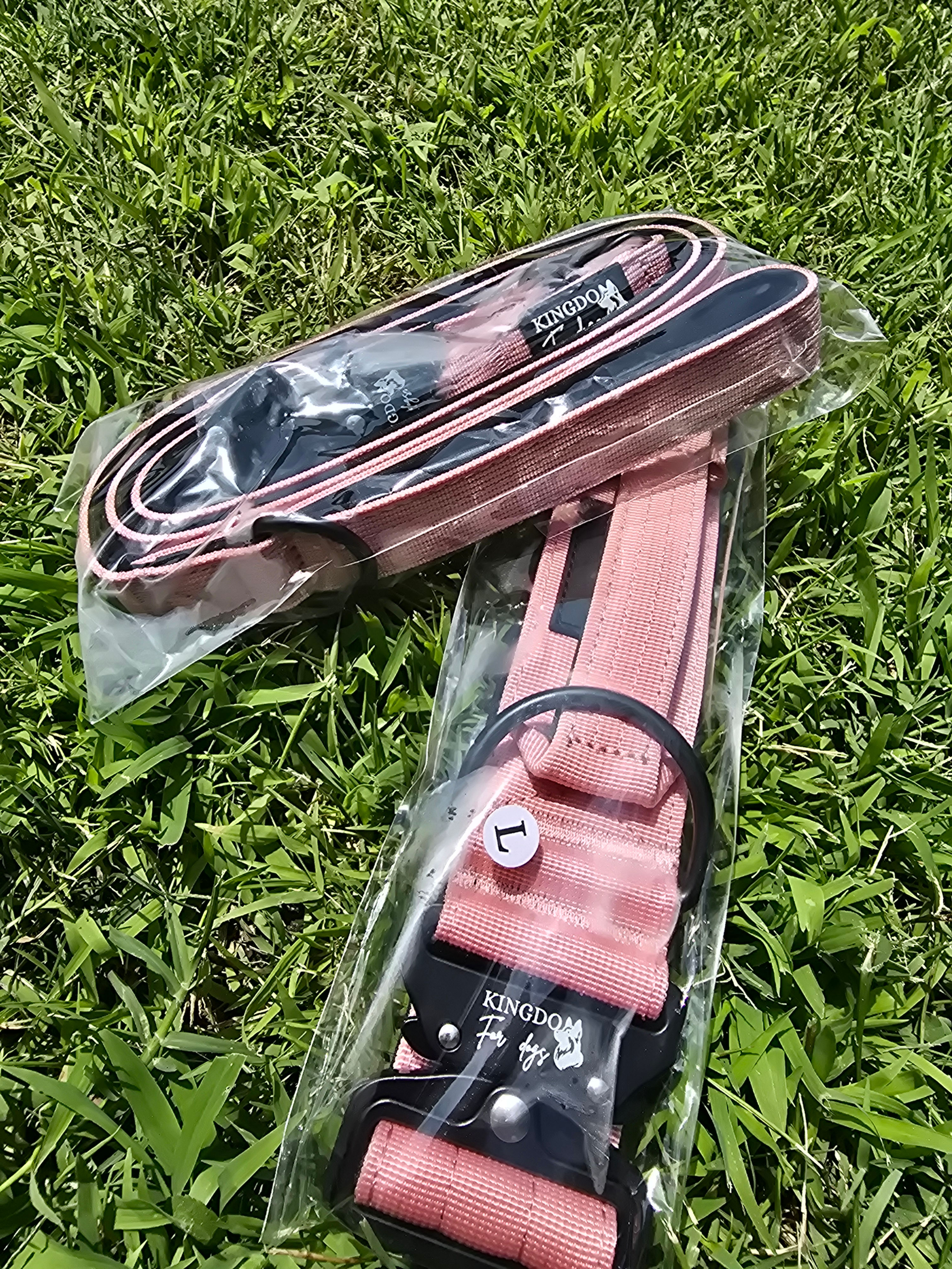 Dog Collar and a leash Size L Length: 17.5 inches - 25 inches (adjustable)