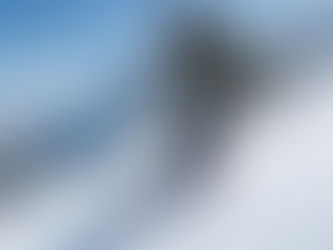 Альпийские горнолыжные школы — обучение лыжам и сноуборду с русскоговорящими инструкторами в Шамони