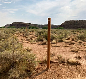 Pick one of our new walk-in tentsites for privacy
