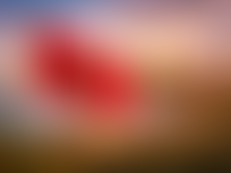 Morocco and the Future of Regional Security and Stability