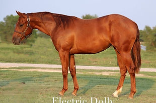 Electric Dolly.jpg
