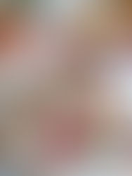 Плодови оризови брускети