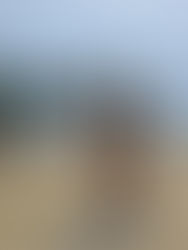 Не се срамувай да признаеш нуждите си