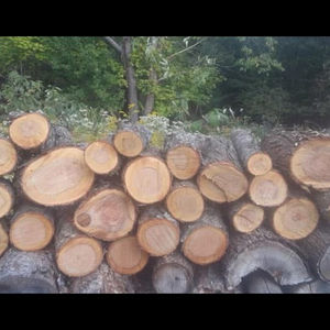 Cutting firewood