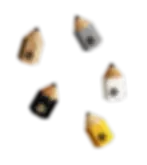 dad no background.webp