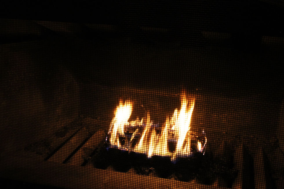 IMG_3397.JPG