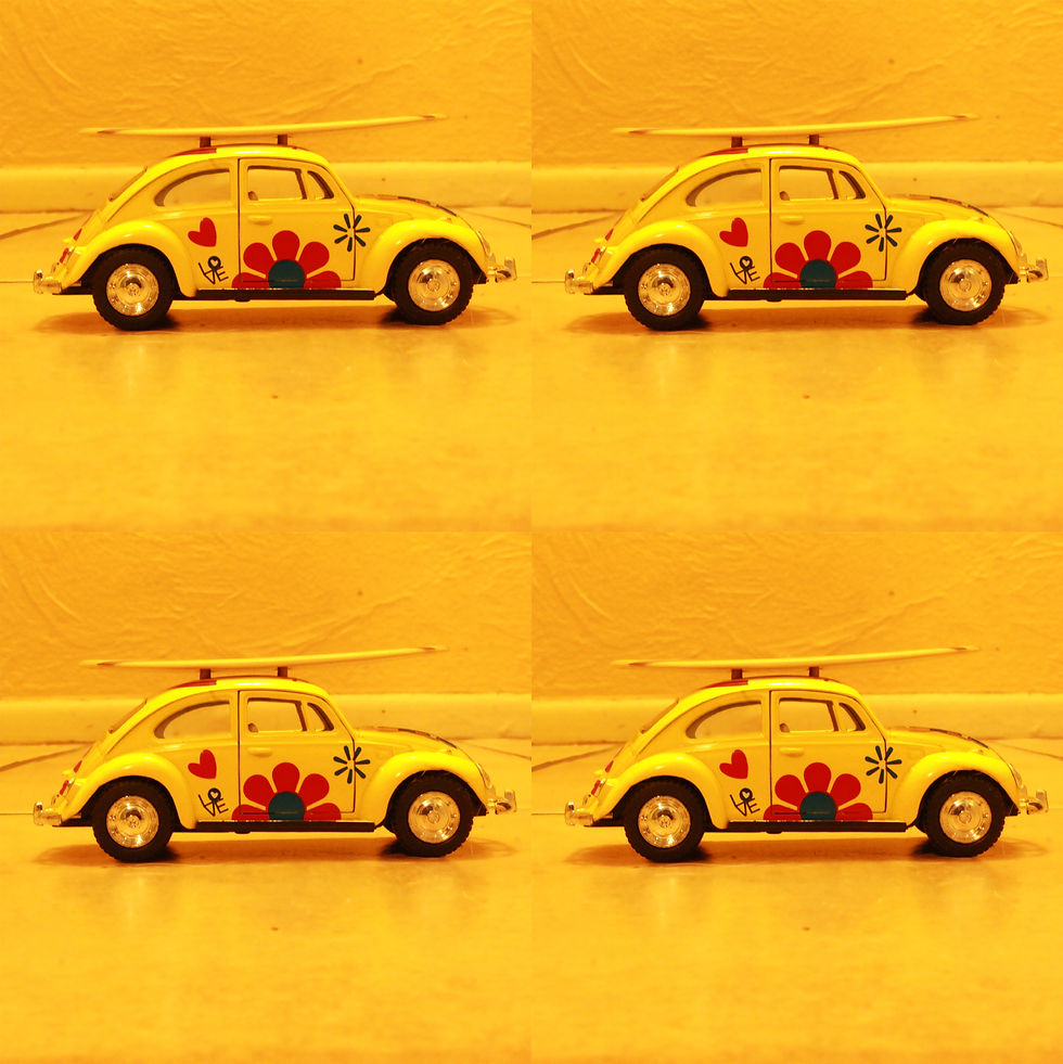Bug Sequence 2 copy.jpg