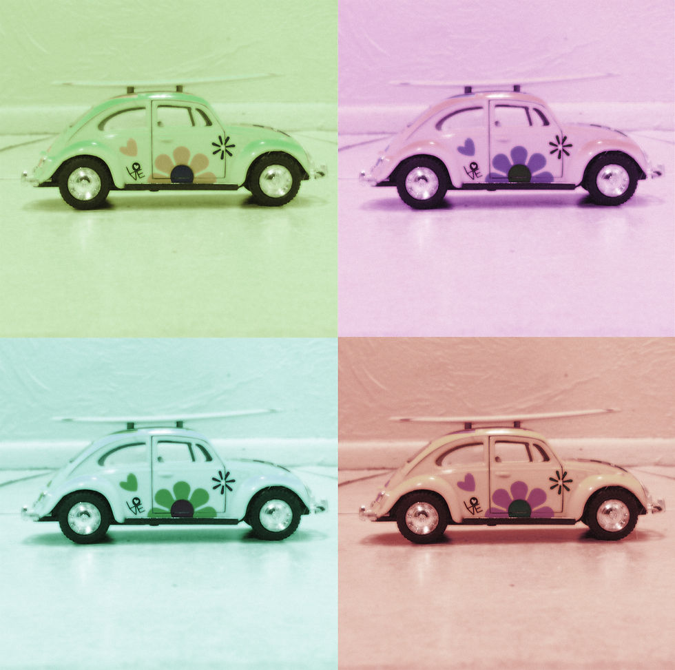 Bug Sequence 4 copy.jpg