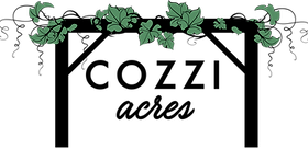 Cozzi Logo.png.webp