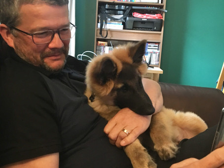 Daddy's Girl
