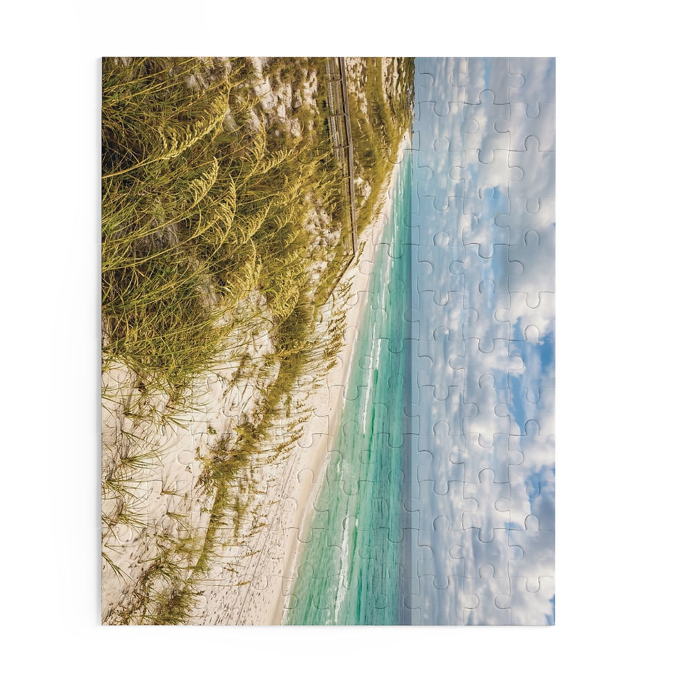 Hình thu nhỏ: Beach Dunes Puzzle — Coastal Ocean Scene Jigsaw (120/252/500 Piece)