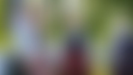 Explore the full festival programme!