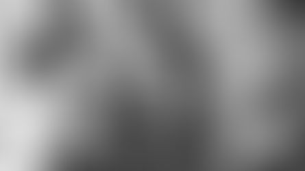 Celebrate together until the first light of dawn