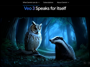 AI-generated mystical forest scene by Veo 3 showing an owl perched on a log facing a badger in an enchanted moonlit forest with blue atmospheric lighting