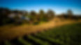 Mondurup Escape (3)_edited.jpg