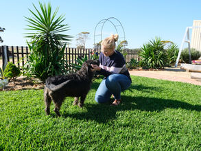 I've started a blog!